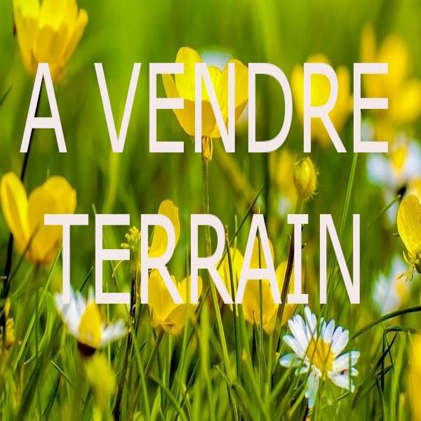 Offres de vente Terrain Clouzeaux 85430