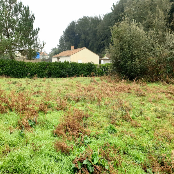 Offres de vente Terrain Jard-sur-Mer 85520
